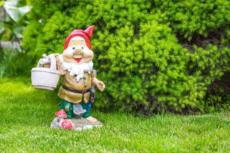A Day in the Life of an Irish Robot Lawn Mower: From Dawn ‘til Dusk 3 HomeBot Ireland Irish Robot Lawn Mower6