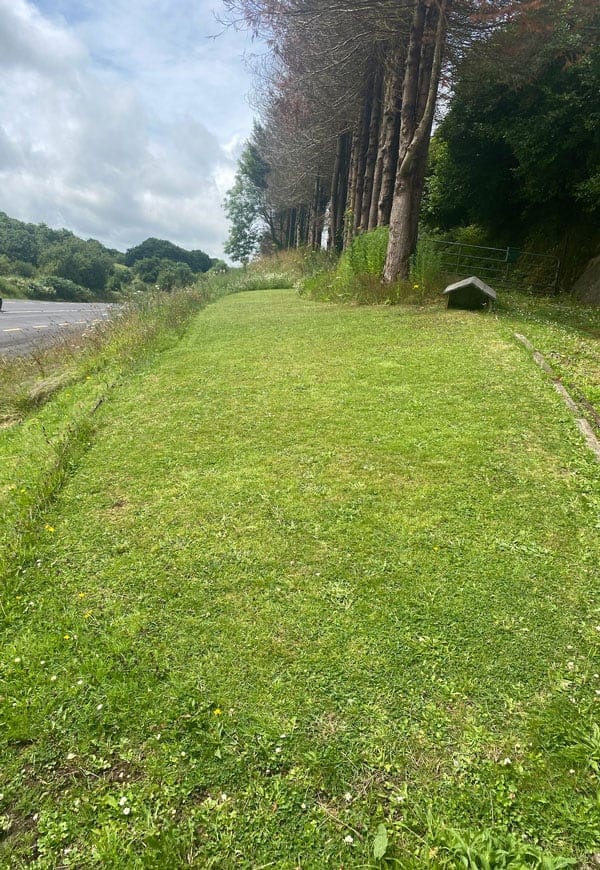 A neatly mowed grassy hill slopes upwards alongside a road on the left, thanks to the best Robot Lawn Mower. Tall trees stand in a line on the right side, providing shade. The sky above is partly cloudy. Small wildflowers dot the grass, adding a touch of color to the scene.