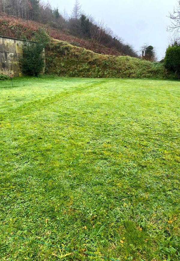 A wide expanse of freshly mowed grass, thanks to the best robot lawn mower, with a backdrop of a sloping hillside, some trees, and bushes. The grassy area is bordered by an old stone wall on the left and dense greenery on the right. The sky appears overcast.