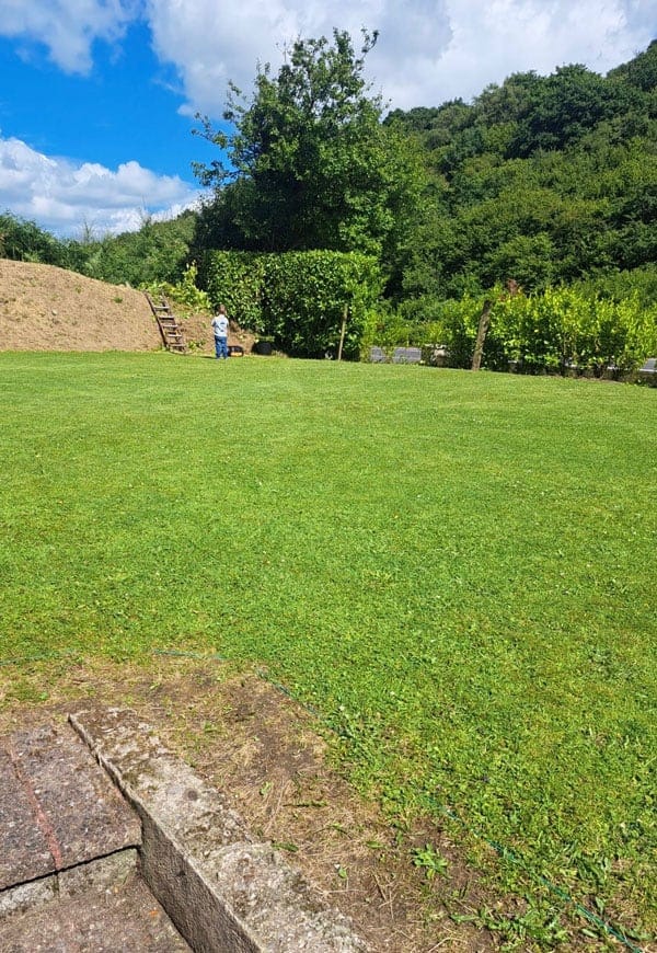 A lush green lawn on a sunny day with patches of shade under trees. The sky is partly cloudy. A person is visible at a distance near the edge of the lawn, which is surrounded by dense greenery. In the foreground, a stone pathway and steps hint at the convenience of using a Robot Lawn Mower for the best maintenance.