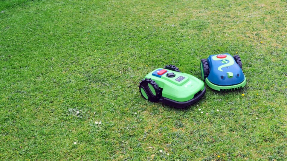 Two autonomous HomeBot Ireland lawnmowers on a neatly trimmed lawn. These robot lawn mowers are rounded with wheels and display control panels on their tops. The lawn is green and dotted with small patches of clover and a few scattered daisies.